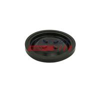 FAST FT60101 Membrana, Ventilazione monoblocco per CITROËN,FORD