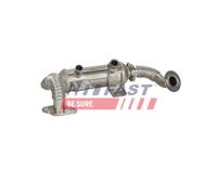 FAST FT60428 Radiatore EGR