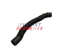 FAST FT61096 Termostato, refrigerante per FORD