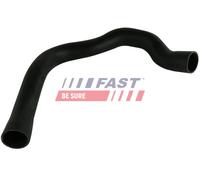 FAST FT61706 Flessibile aria alimentazione per ALFA ROMEO