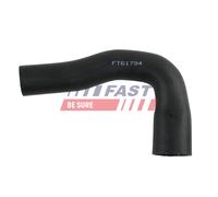 FAST FT61794 Flessibile aria alimentazione per FIAT,FORD USA