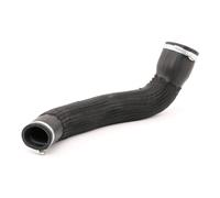 FAST FT61931 Flessibile aria alimentazione per FIAT Ducato Bus (250, 290)