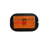 Faro di posizione bilaterale LED FT87357 FAST per VW MAN