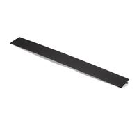 FAST FT90461 Modanatura decorativa / protettiva, Cristallo portiera
