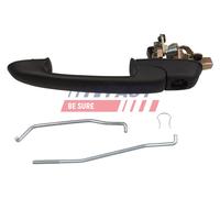 FAST FT94228 Maniglia porta per FIAT BRAVO I (182) Anteriore Sx, Esterno