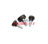 FAST FT95522 Guidarullo, Porta scorrevole per OPEL,RENAULT