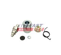 FAST FT95821 Guidarullo, Porta scorrevole per CITROËN,FIAT,PEUGEOT