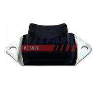FAST Kit Paracolpi Sospensione Assale Posteriore Sinistra Destra Iveco Daily IV