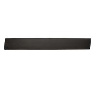FAST FT90439 Modanatura decorativa / protettiva, Fiancata