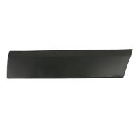 FAST Modanatura decorativa / protettiva Portiera anteriore Dx nero FT90835