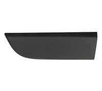 FAST Modanatura decorativa / protettiva Portiera Portiera veicolo Sx anteriore