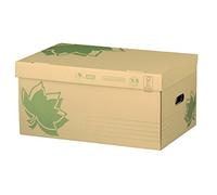 Fast Nature Line - Set di 5 scatole portadocumenti in cartone, 52 x 35 x 26 cm, colore: Ecru