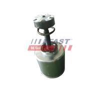 FAST Pistoncino pinza freno per IVECO DAILY II Pritsche/Fahrgestell DAILY II Bus