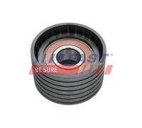 FAST Rullo Guida Cinghia Per Renault Megane II Coupé-Cabriolet 2.0