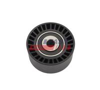 FAST Rullo Guida Del Cinghia Per Ford Fiesta VI Transit Connect V408