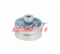 FAST Rullo Tensionatore Cinghia A V Per Ford Ranger TKE 3.2 TDCi 4x4 2.2 Transit