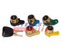 FAST Set Blocco Cilindro per Renault Kangoo KC0/1_ 1.2 16V 1.6 FC0/1_ 1.5 DCI