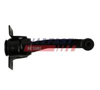 FAST Supporto motore Cuscinetto gomma-metallo Posteriore Compatibilità con FORD Transit Mk6 Furgonato V347, V348, FA FT52554