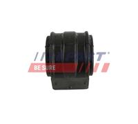 FAST Supporto Stabilizzatore Posteriore Doppio Per Ford Transit Furgone