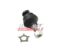 FAST Testina braccio oscillante per IVECO Anteriore Sx Anteriore Dx FT17001