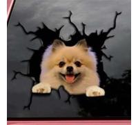 FASTLATE Adesivi per Finestre Posteriori Auto Adesivi per Finestre Rotte 3D Electrostatic Simulation French Bulldog Auto Adesivi per Auto 20 Cm