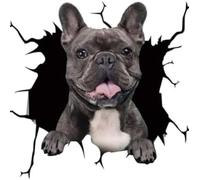 FASTLATE Adesivi per Finestre Posteriori Automatici Adesivi per Finestre Rotte 3D Electrostatic Simulation French Bulldog Auto Adesivi per Auto