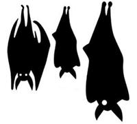 FASTLATE Adesivo per Auto 13,8 X 13,5 Accessori per Auto per Auto Decorazione per Pipistrelli di Moda Grafica in Vinile