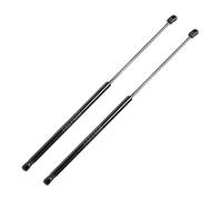 Fastner Compatibile con Ford Coppia Ammortizzatori Molle a Gas Pistoni Pistoncini Portellone Bagagli Posteriori Fiesta VI (2006-), Fiesta VI Van (2008-) 1523356, 1666068, 8A61A406A10AB, 8A61A406A10AC