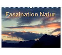 Fasziantion Natur (Wandkalender 2026 DIN A3 quer), CALVENDO Monatskalender: Einmalig Ansichten der Natur