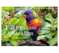 Faszination Australien - Welt der Vögel (Tischkalender 2026 DIN A5 quer), CALVENDO Monatskalender: Australien ist bekannt für seine außerordentliche ... Australien sind sie ständiger Begleiter.