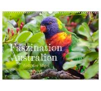 Faszination Australien - Welt der Vögel (Wandkalender 2026 DIN A3 quer), CALVENDO Monatskalender: Australien ist bekannt für seine außerordentliche ... Australien sind sie ständiger Begleiter.