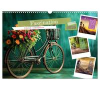 Faszination Fahrrad - coole Sprüche (Wandkalender 2026 DIN A3 quer), CALVENDO Monatskalender: Pedale treten, Sorgen vergessen, Freiheit spüren - das ist die Magie des Fahrradfahrens