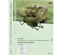Faszination Insekten-Mikrokosmos 3, Blattläuse leben gefährlich
