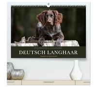 Faszination Jagdhund - Deutsch Langhaar (hochwertiger Premium Wandkalender 2026 DIN A2 quer), Kunstdruck in Hochglanz: Deutsch Langhaar - Ein Leben neben der Jagd