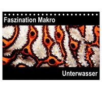 Faszination Makro Unterwasser (Tischkalender 2026 DIN A5 quer), CALVENDO Monatskalender: Faszination Makro Unterwasser