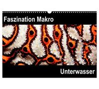 Faszination Makro Unterwasser (Wandkalender 2026 DIN A3 quer), CALVENDO Monatskalender: Faszination Makro Unterwasser