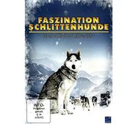Faszination Schlittenhunde - Das Grosse Rennen