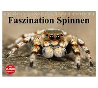 Faszination Spinnen (Tischkalender 2026 DIN A5 quer), CALVENDO Monatskalender: Die achtbeinigen Webkünstler aus der Nähe