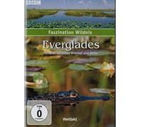 Faszination Wildnis - Everglades - Paradies zwischen Himmel und Hölle