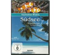 Faszination Wildnis - SÜDSEE - Paradiesische Atolle im blauen Meer