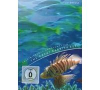 Faszinierende Landschaften - The Great Barrier Reef