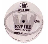 FAT JOE - FAT JOE / MY BAD