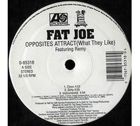 Fat Joe - Opposites Attract