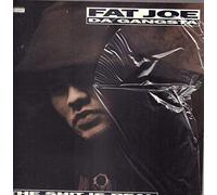 Fat Joe - Shit Is Real