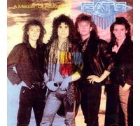 Fate - A Matter of Attitude