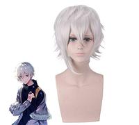Fate Grand Order Kadoc Zemlupus Parrucca corta argento bianco Costume Cosplay FGO resistente al calore Capelli sintetici Uomo Donna Parrucche Cosplay PL-130