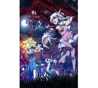 Fate/kaleid liner プリズマ☆イリヤ ツヴァイ ヘルツ! 第5巻 限定版 [DVD]