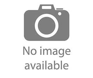 Father's Little Dividend/Nothing Sacred/Ghosts On The Loose