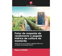 Fator de resposta do rendimento e pegada hídrica da cultura da mostarda: eficiência do uso da água e pegada hídrica em condições de limitação hídrica