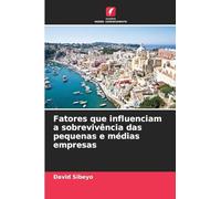 Fatores que influenciam a sobrevivência das pequenas e médias empresas
